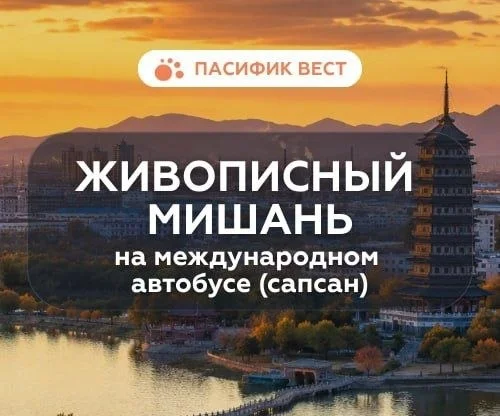 Мишань из Владивостока